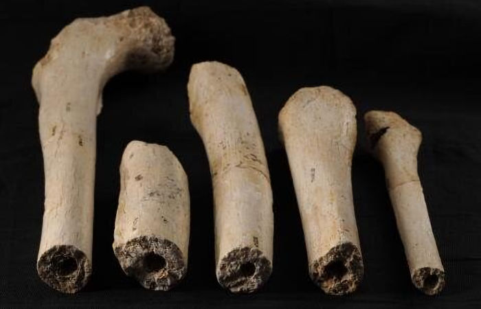 Ancient Human Remains A The Sima De Los Huesos Site Investigated